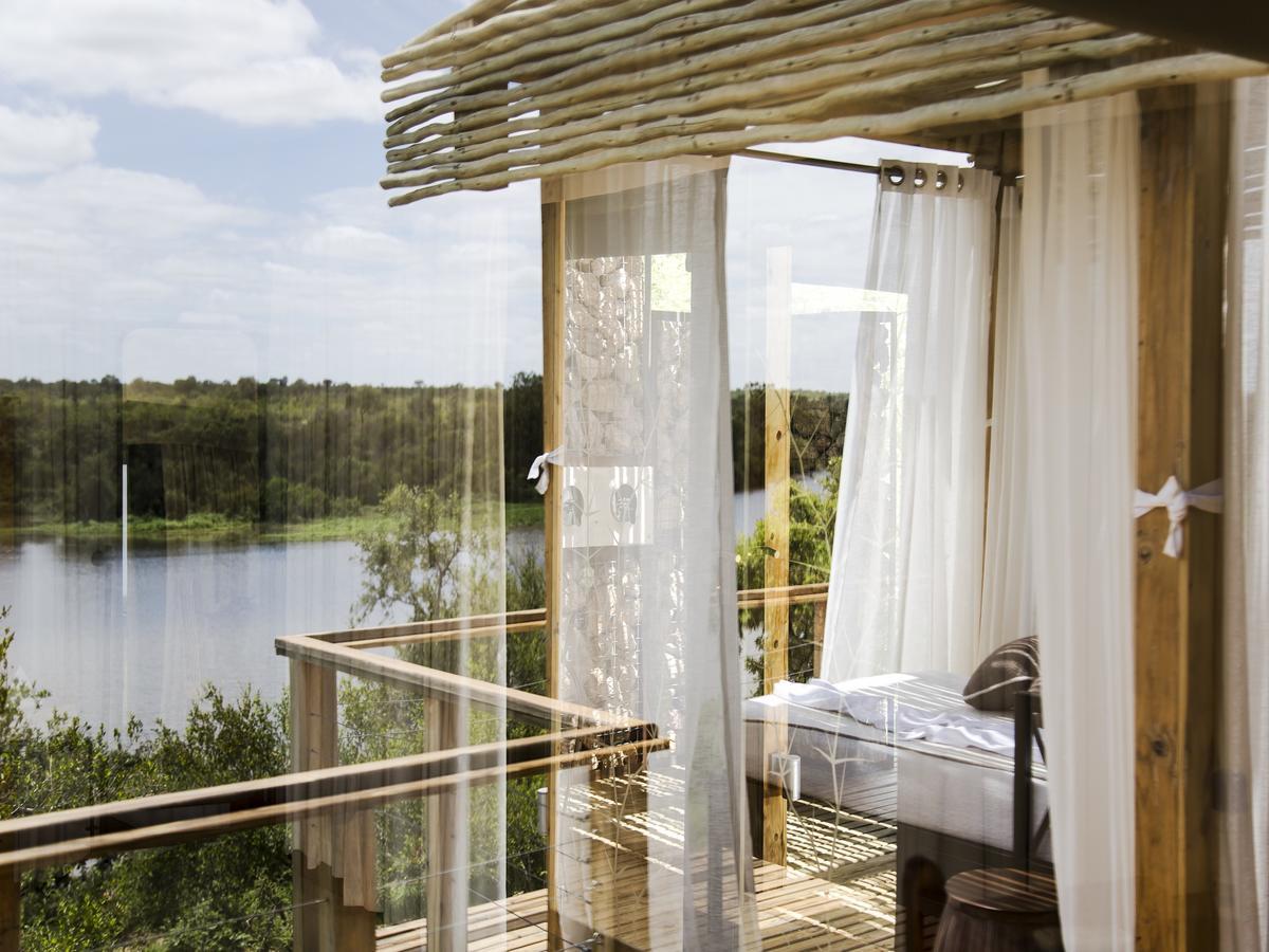 Simbavati Hilltop Lodge Rezervaţia naturală Timbavati Exterior foto